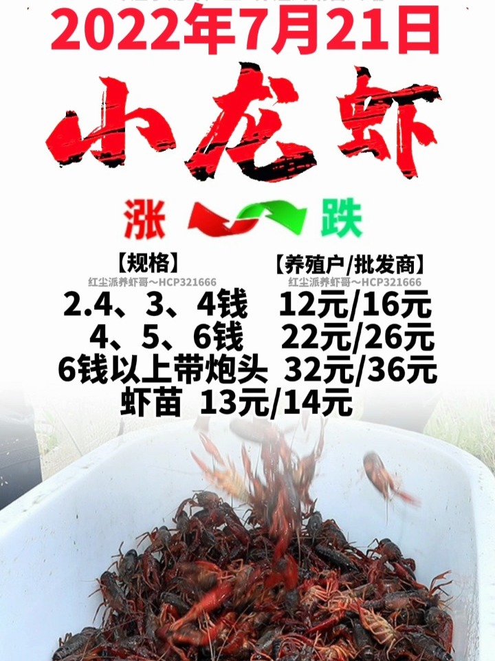 科技赋能智能生活，小龙虾价格的新体验探索