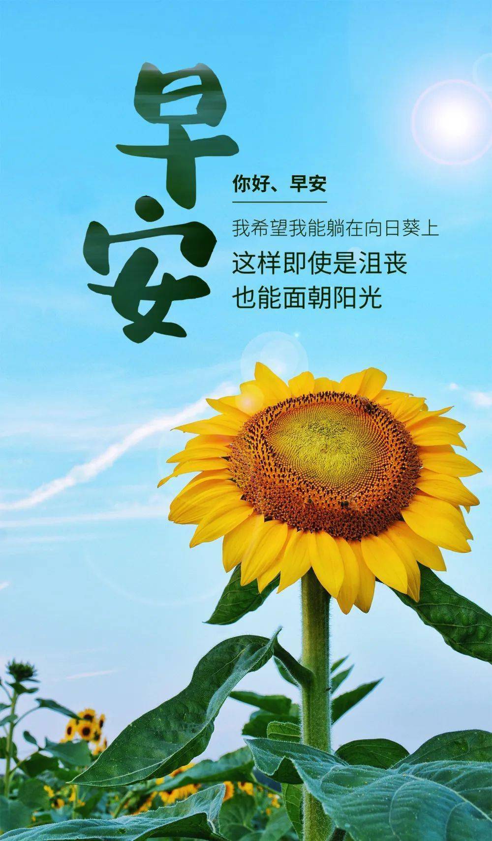 最新早安语录，与自然美景的奇妙缘分