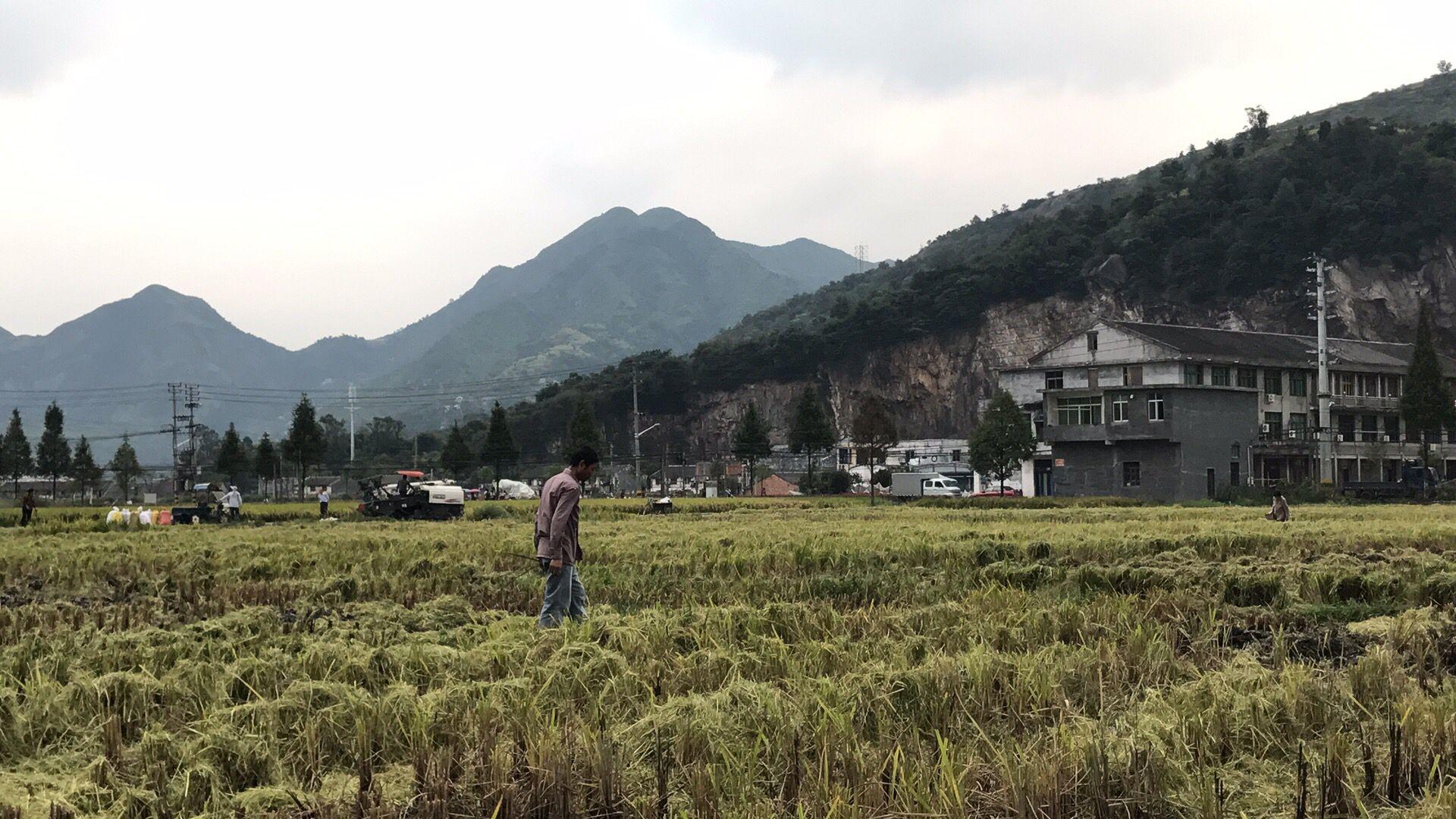 禾中引领科技潮流，打造未来生活新体验公告