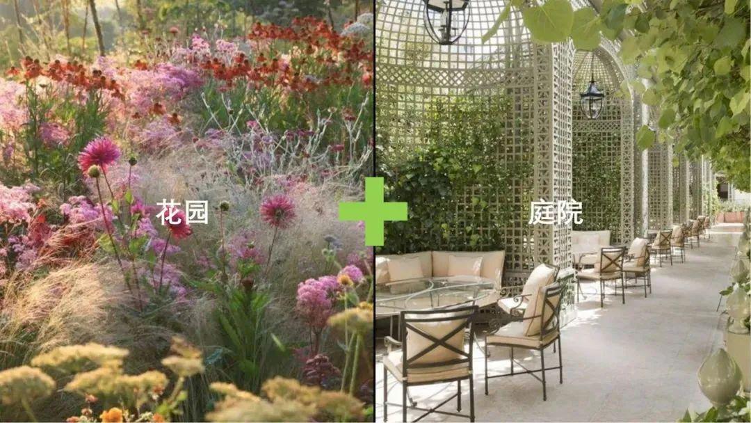 北菜园改造最新进展及观点论述摘要