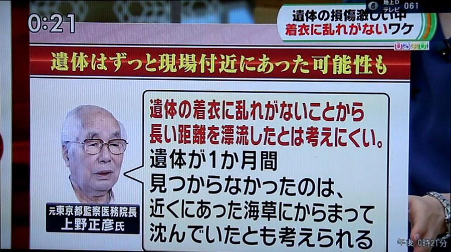 危秋洁失踪最新消息更新，搜寻进展与最新动态